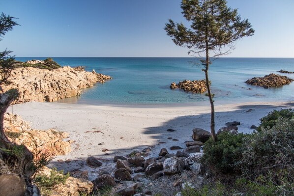 Plage à proximité