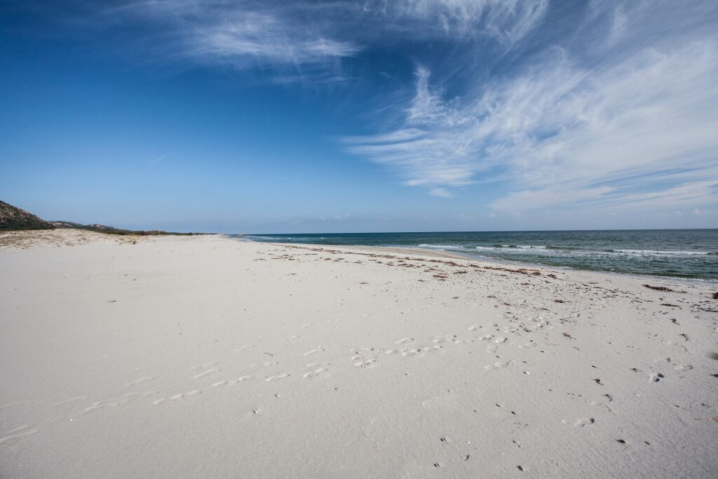 A wide, sandy beach with footprints leading to the water, under a clear blue sky.