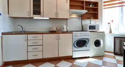 Home-Hotel Nizhniy Val 41-2