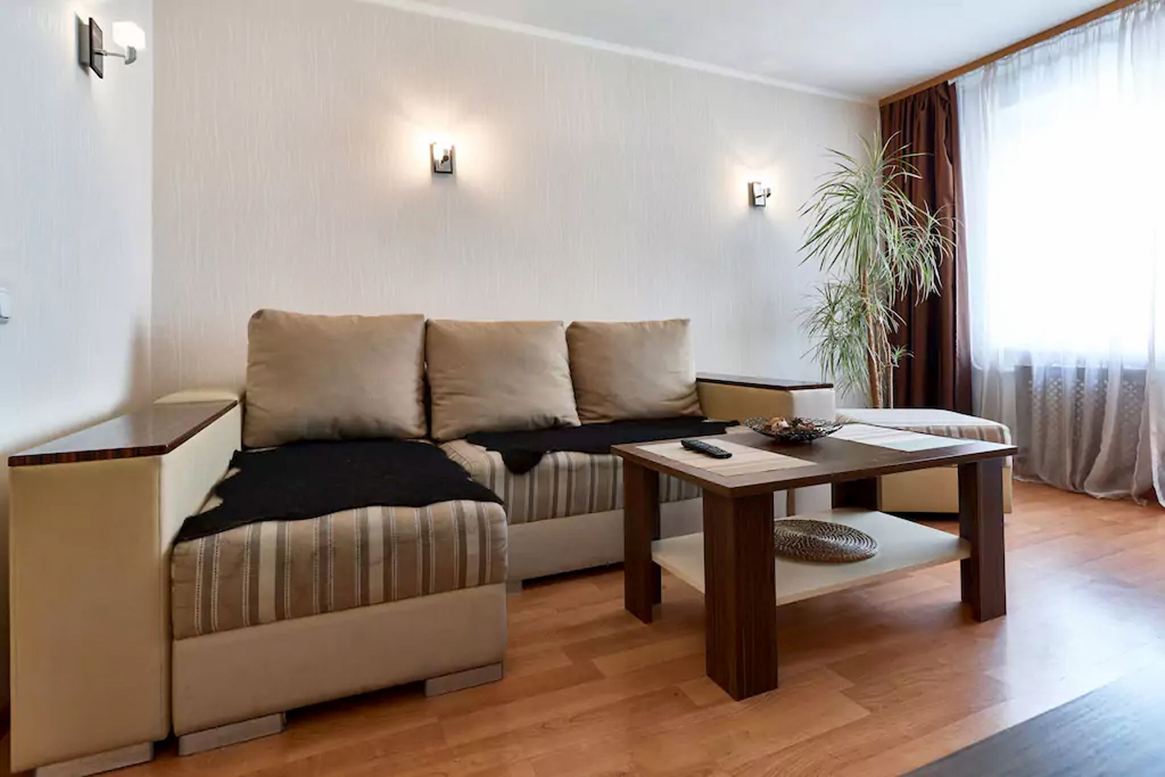 Un espace de vie compact comprenant un canapé, une petite table et une plante en pot.