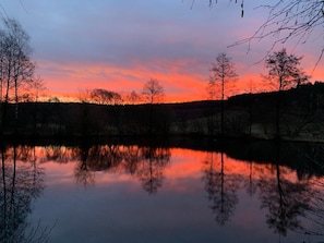 Escena serena junto al lago, con reflejos de árboles y un cielo al atardecer.