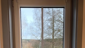 A window with a view of a lake and trees, a potted plant on the windowsill, and a white door frame. - Landgasthof Wetteraperle (Saalburg-Ebersdorf)