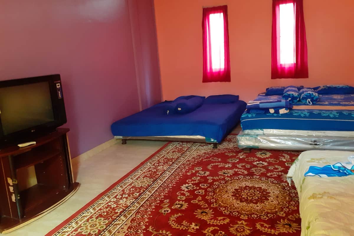A bedroom with two beds, a television on a wooden stand, and a patterned carpet.