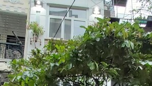 Un hotel llamado "Hansi Endless Hotel" con una fachada moderna, una alfombra roja en la entrada y un árbol en primer plano.