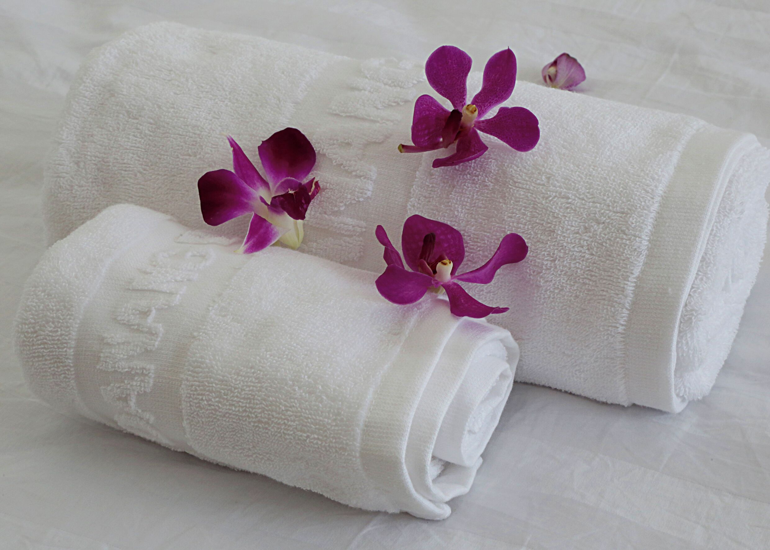 Deux serviettes blanches roulées, ornées de fleurs violettes, posées sur une surface blanche texturée.