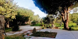 منطقة شواء/نزهات