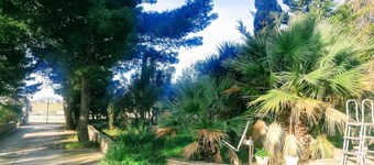 ปิกโกเลดอนเน