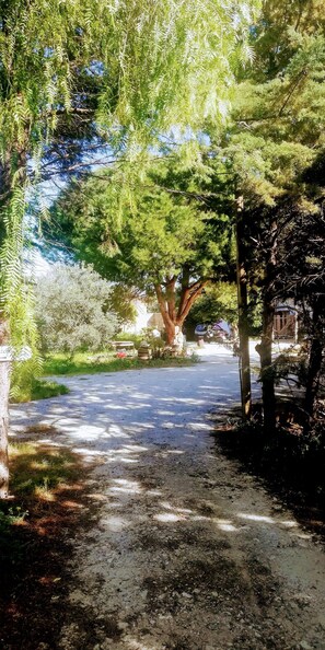 Jardin