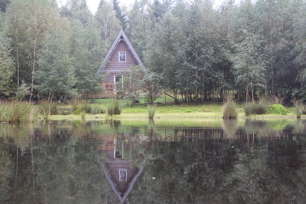 Signature Cabin, 2 Bedrooms, Jetted Tub | View from room