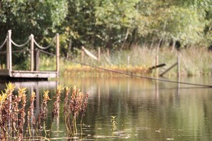 Detalle del exterior