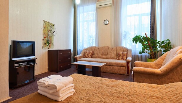 Une chambre d’hôtel avec un lit, un canapé, une télévision, une petite table, une plante et une fenêtre avec des rideaux.