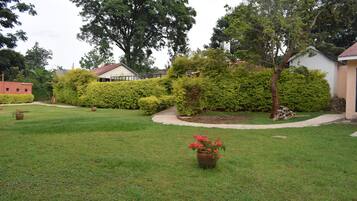 Deluxe Double Room, 1 Double Bed | Terrace/patio