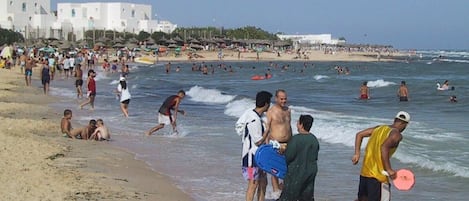 شاطئ