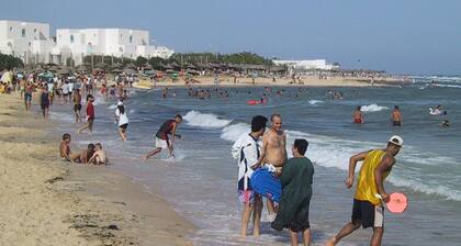 Studio pfoche del mar