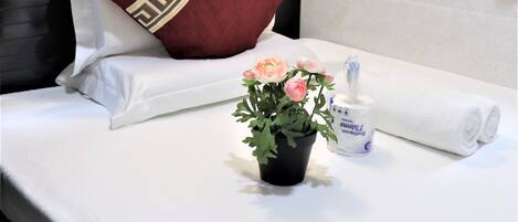 A neatly made bed with a red pillow, a small potted plant, and a tissue box on the bedside table.