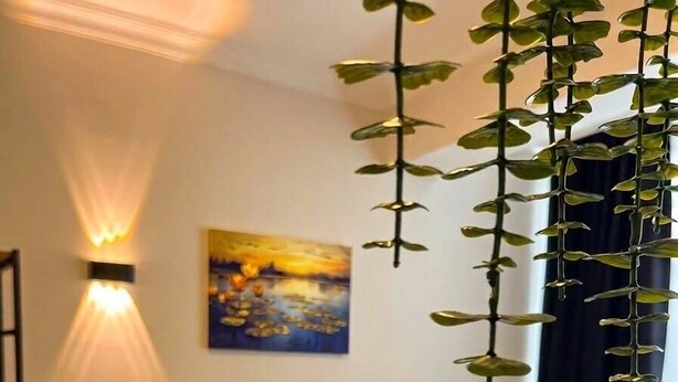 A hotel room with a bed, pillows, a painting on the wall, and a hanging plant. - Blue Sea Hotel (Tuzla)