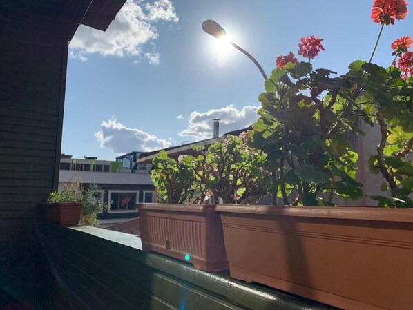 Property grounds - Blue Sea Hotel (Tuzla)