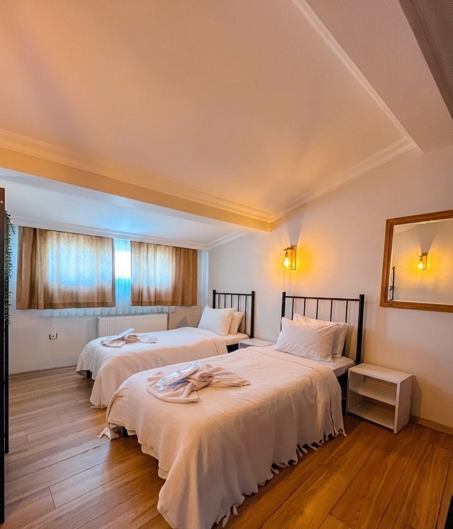Minibar, desk, laptop workspace, free WiFi