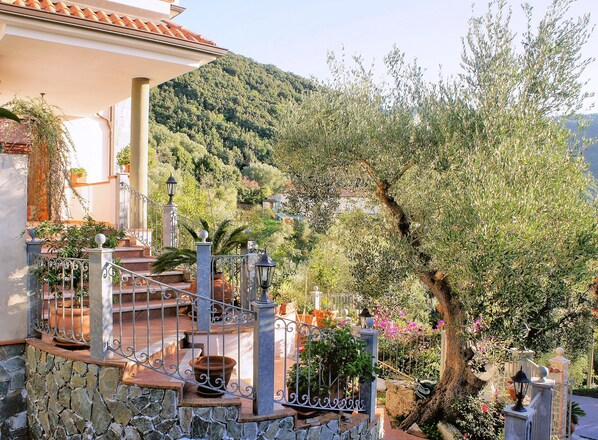 Garden - Residence Albarosa (Ascea)