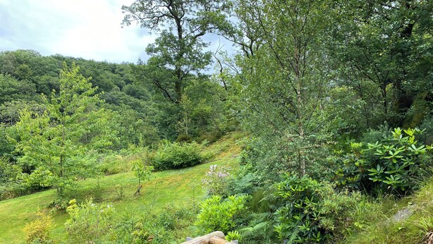 A wooden railing overlooking a lush, green landscape with dense foliage and trees. - Plas Penaeldroch Manor (Dolwyddelan)