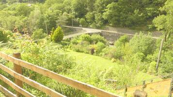 Un jardín con valla de madera, muro de piedra y diversas plantas.