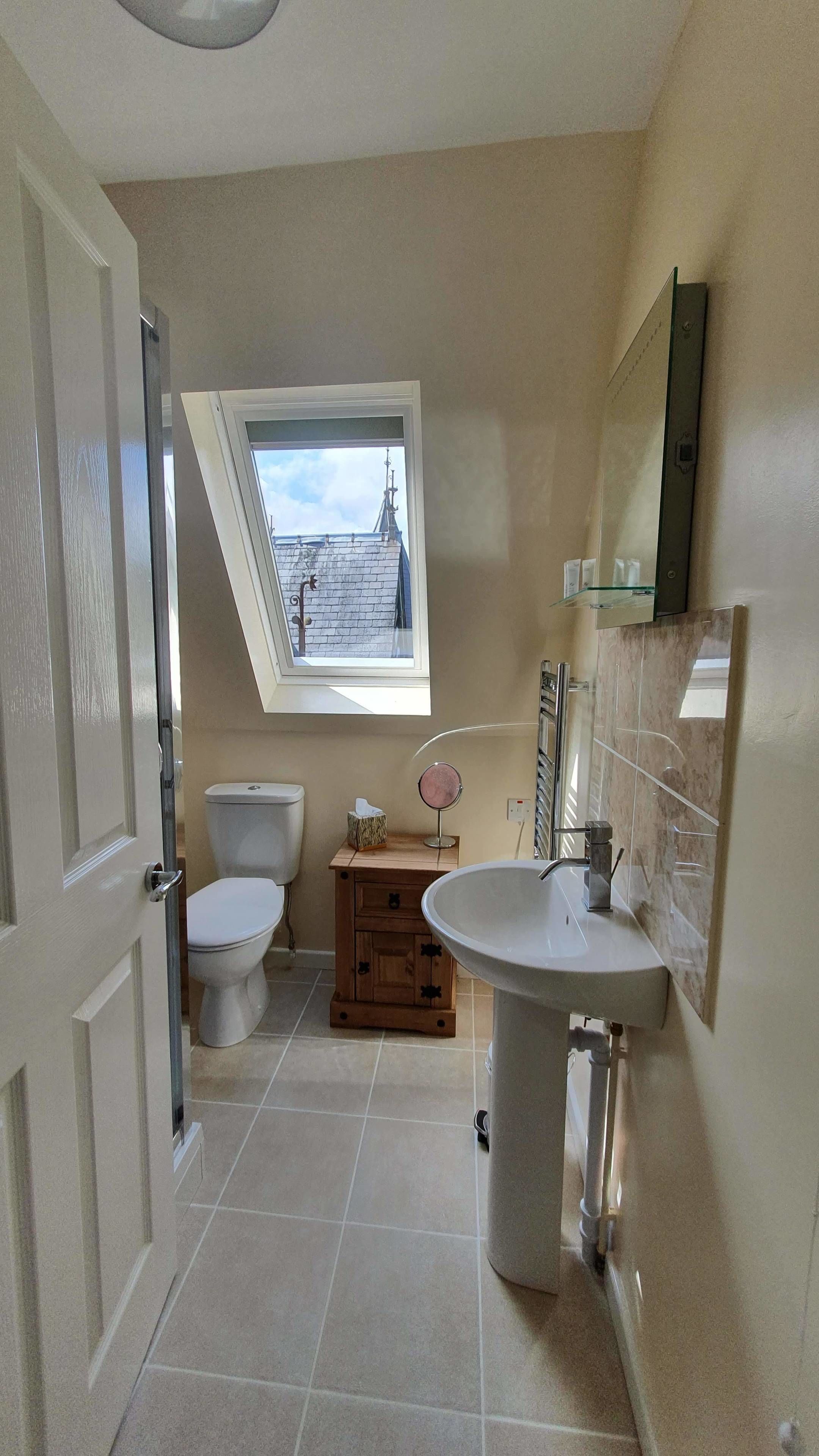 A bathroom with a skylight, a toilet, a sink, and a wooden cabinet.