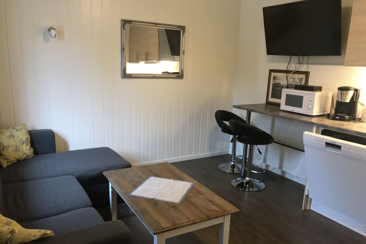 Classic Apartment (26) | Living area | Flat-screen TV