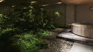 A modern indoor garden with a hot tub, surrounded by lush greenery and a stone pathway.