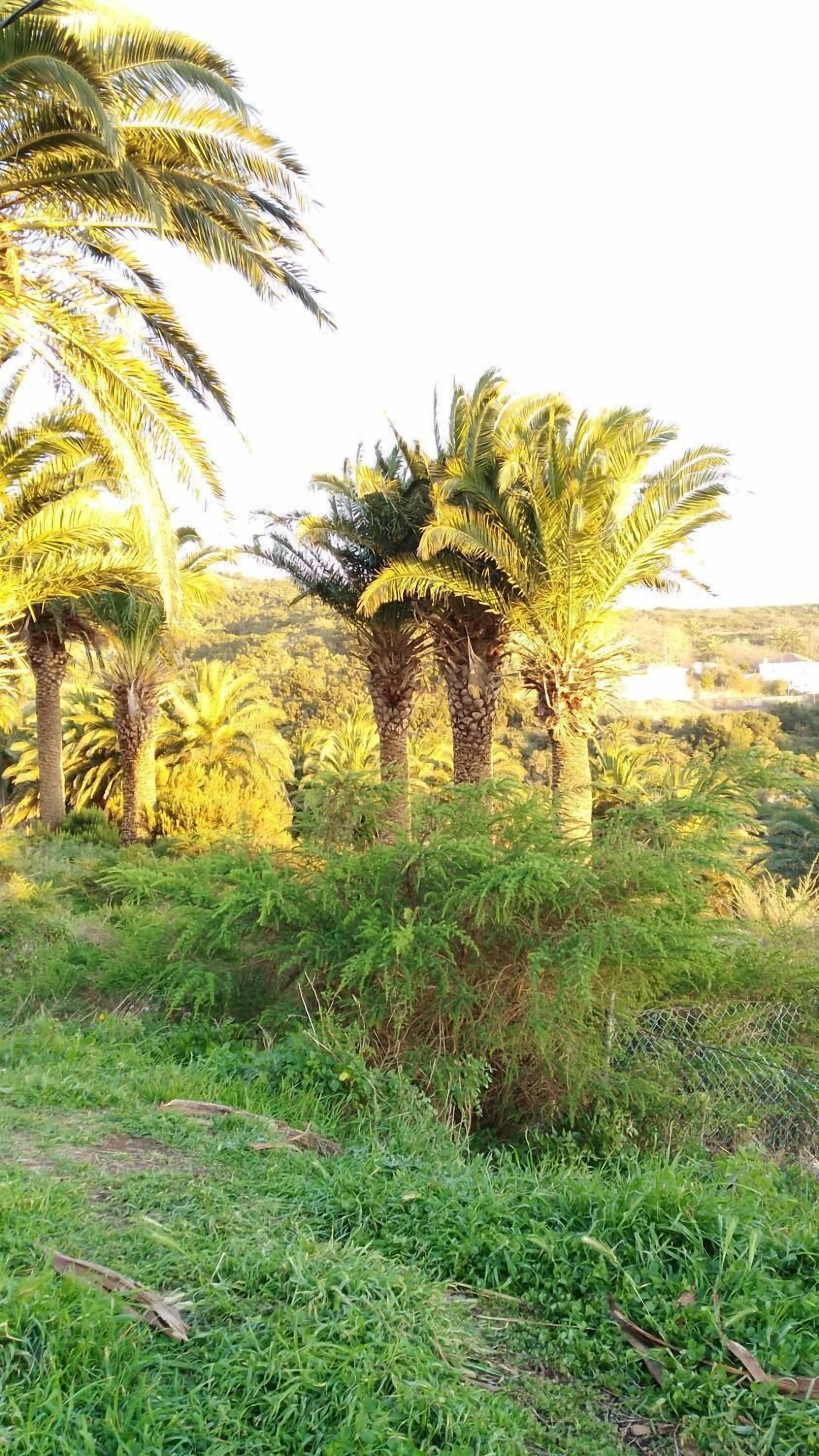 Photo - Pensión Amparo Las Hayas