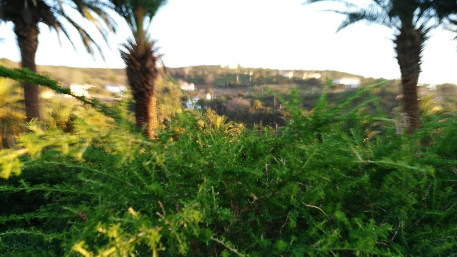 Photo - Pensión Amparo Las Hayas