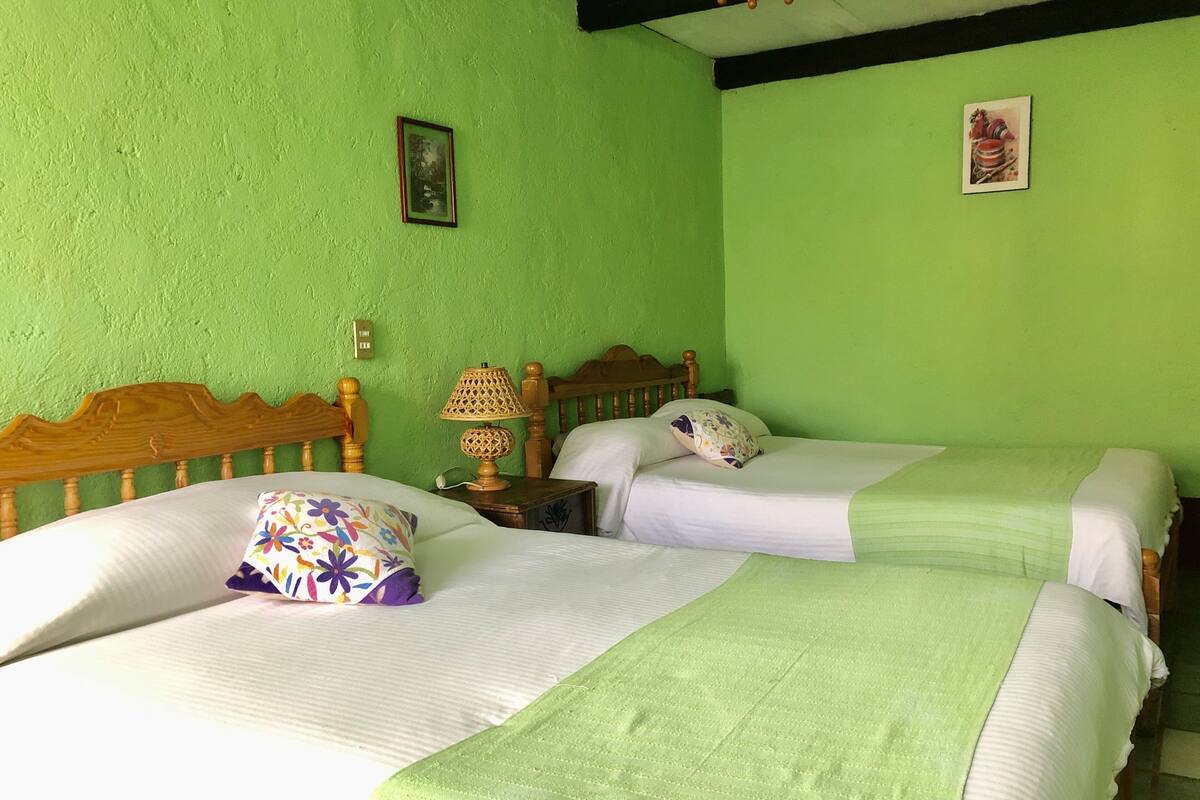 Een kamer met twee bedden, elk met een houten hoofdbord, een nachtkastje met een lamp en groene wanden.
