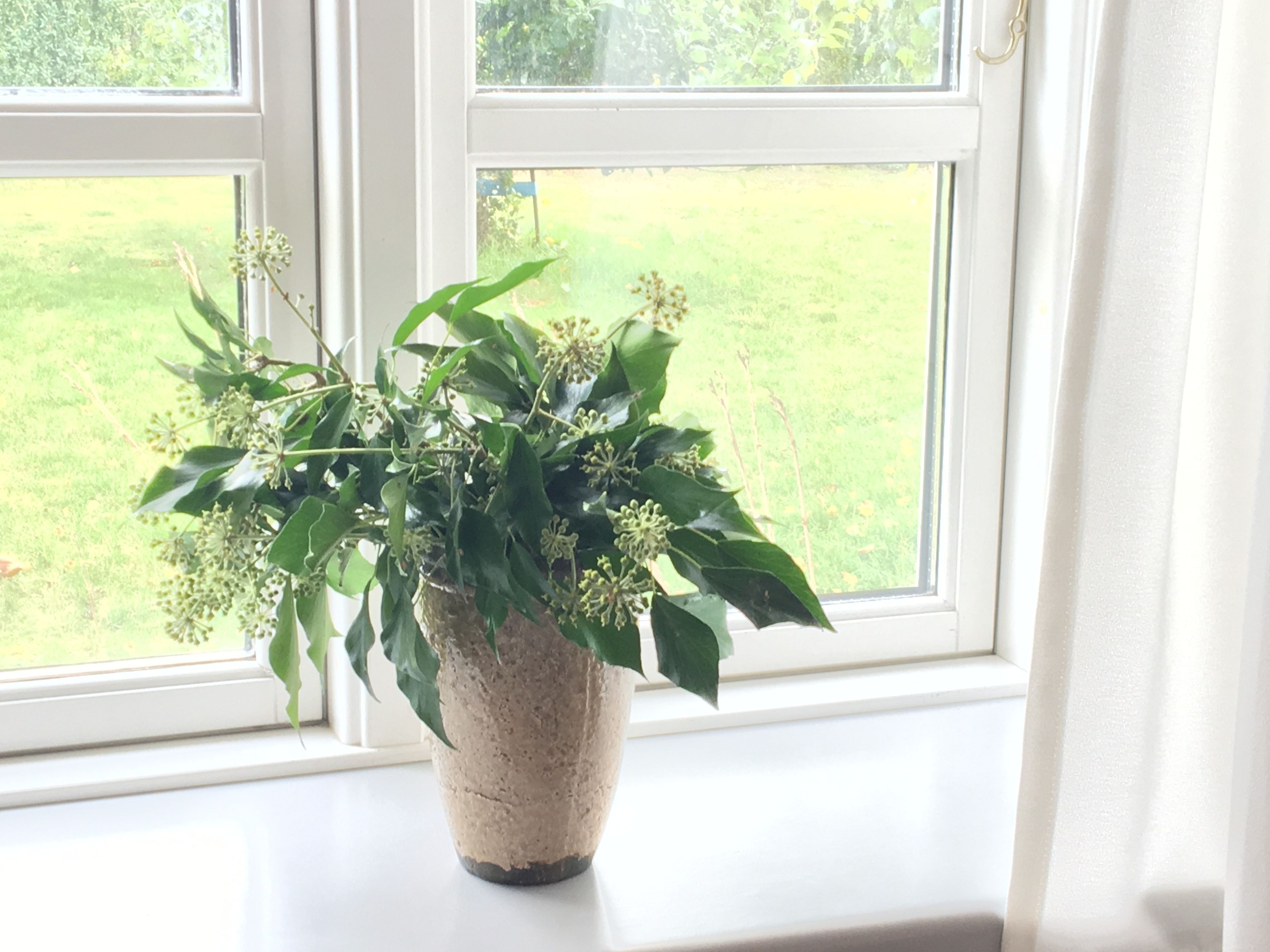 basic double room, shared bathroom | view from room