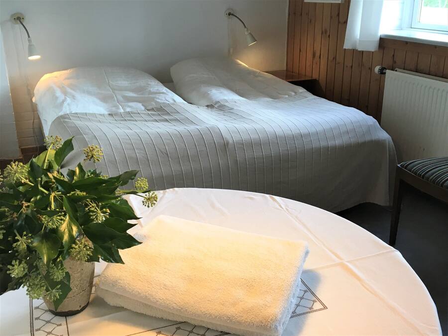 Een slaapkamer met twee bedden, een kamerplant, een stoel en een radiator.