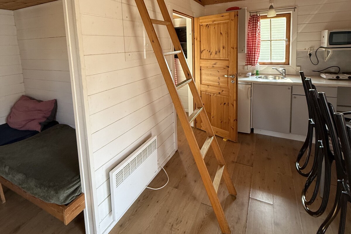 Habitación estilo loft con techo de madera, cama en camarote, cocina con microondas y ventana con cortina roja.