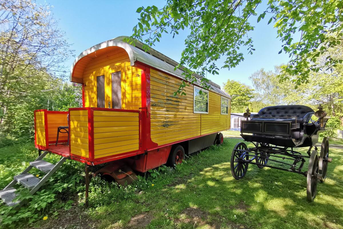 Vagón de tren antiguo, amarillo y rojo, con un carro negro adjunto, estacionado sobre césped rodeado de árboles.