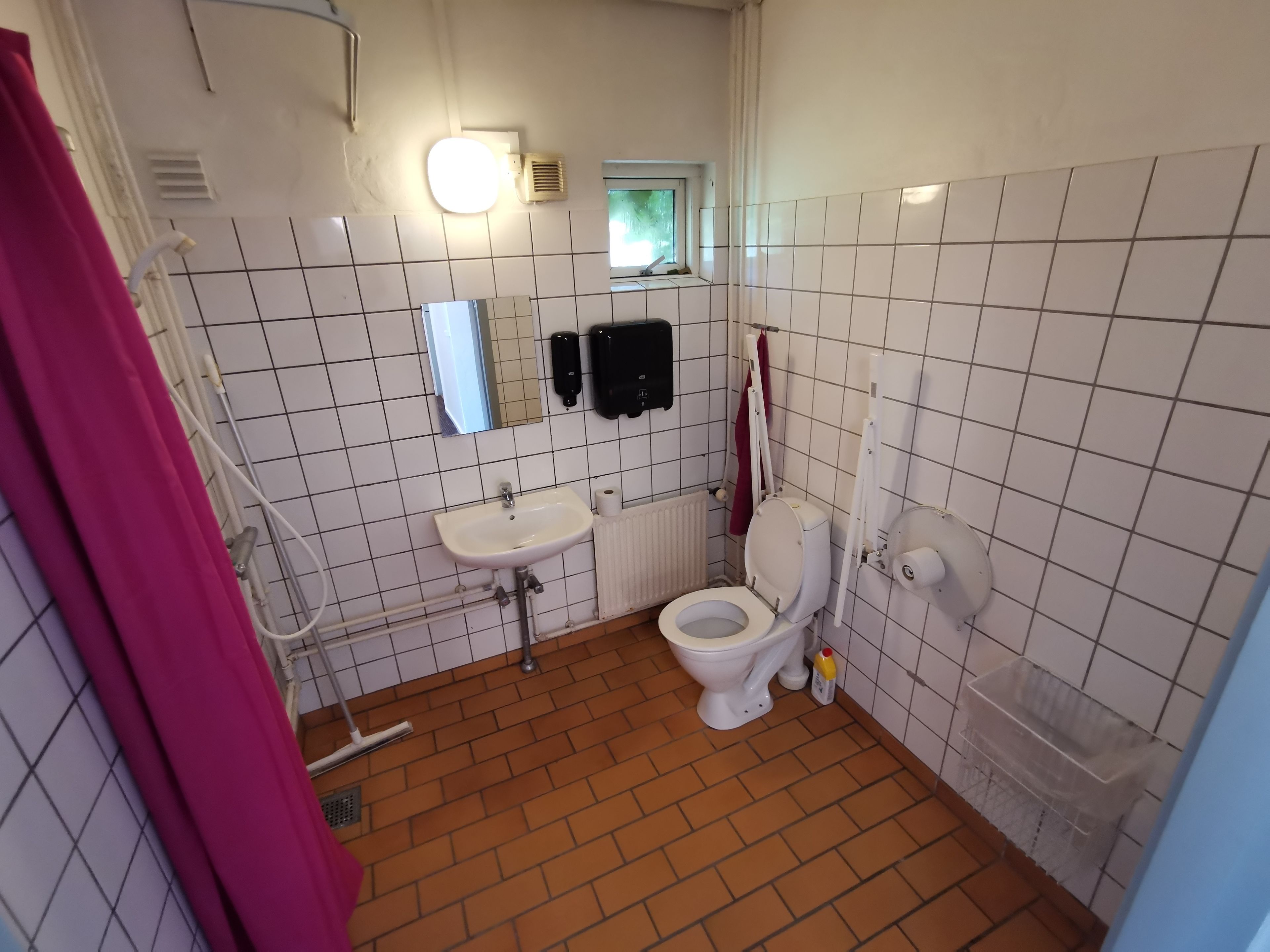 A small bathroom with a white sink, a toilet, a mirror, and a shower.