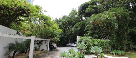 A courtyard with a white fence, various plants, and parked cars.