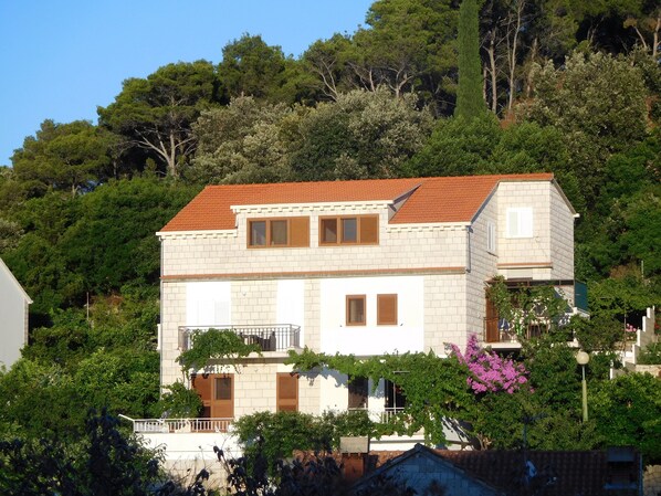 Front of property - Apartments Ivancevic (Korcula)