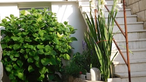 A staircase with a white wall and a green plant in a planter. - Apartments Ivancevic (Korcula)