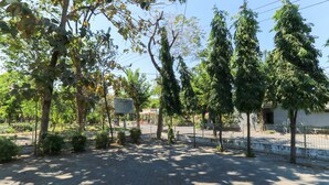 A paved outdoor area with trees and a fence. - Wisma Flamboyan (Surabaya)