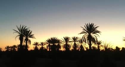 Auberge L'oasis Mhamid