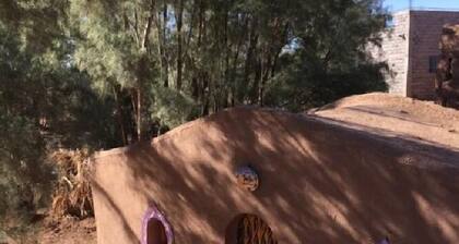 Auberge L'oasis Mhamid