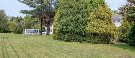 A well-maintained lawn with a large tree and a sign in the background.