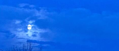 Un ciel nocturne avec une lune visible et la silhouette d’arbres sans feuilles.