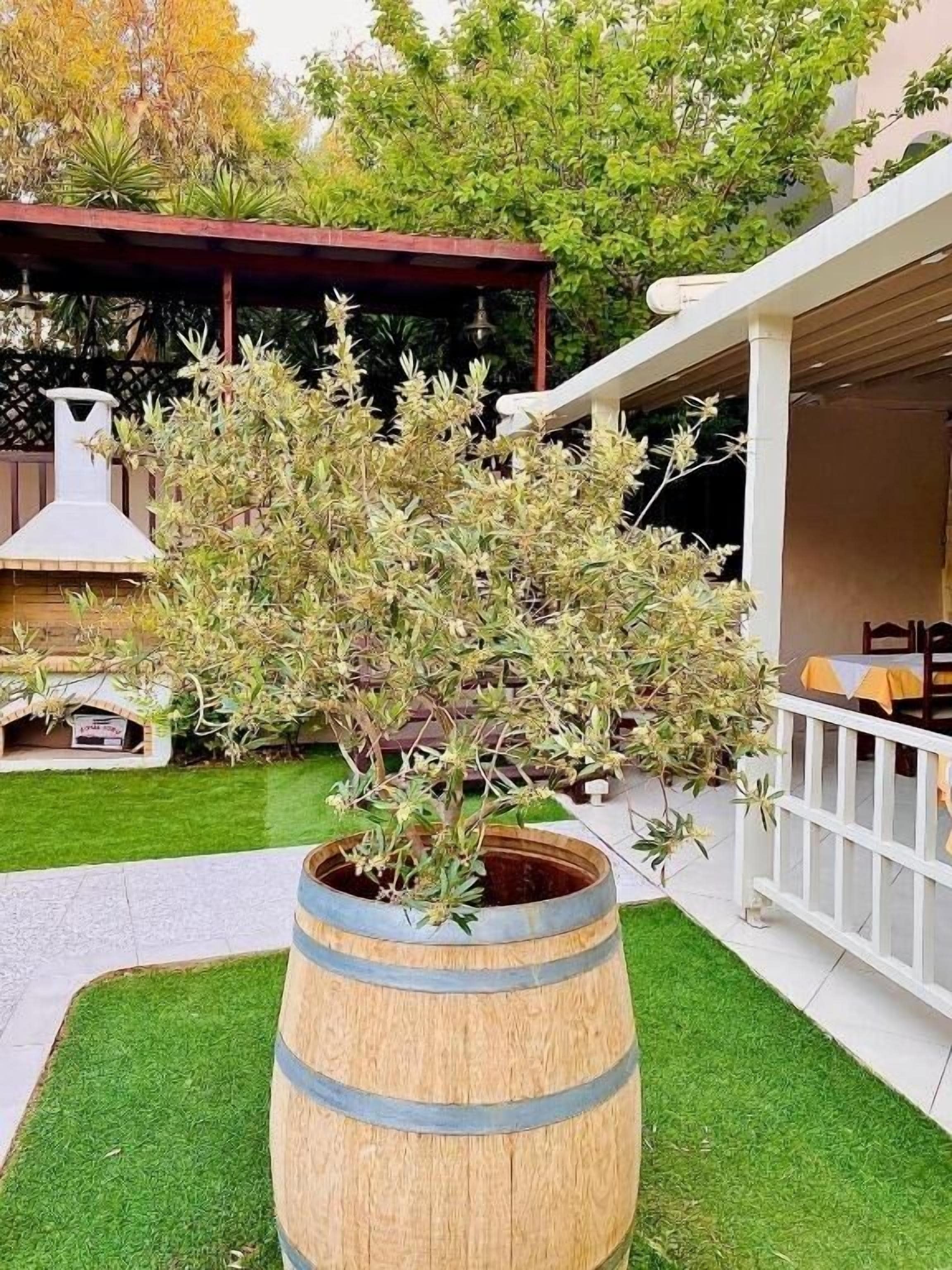 A garden with a wooden barrel planter, a barbecue grill, and a covered patio area.