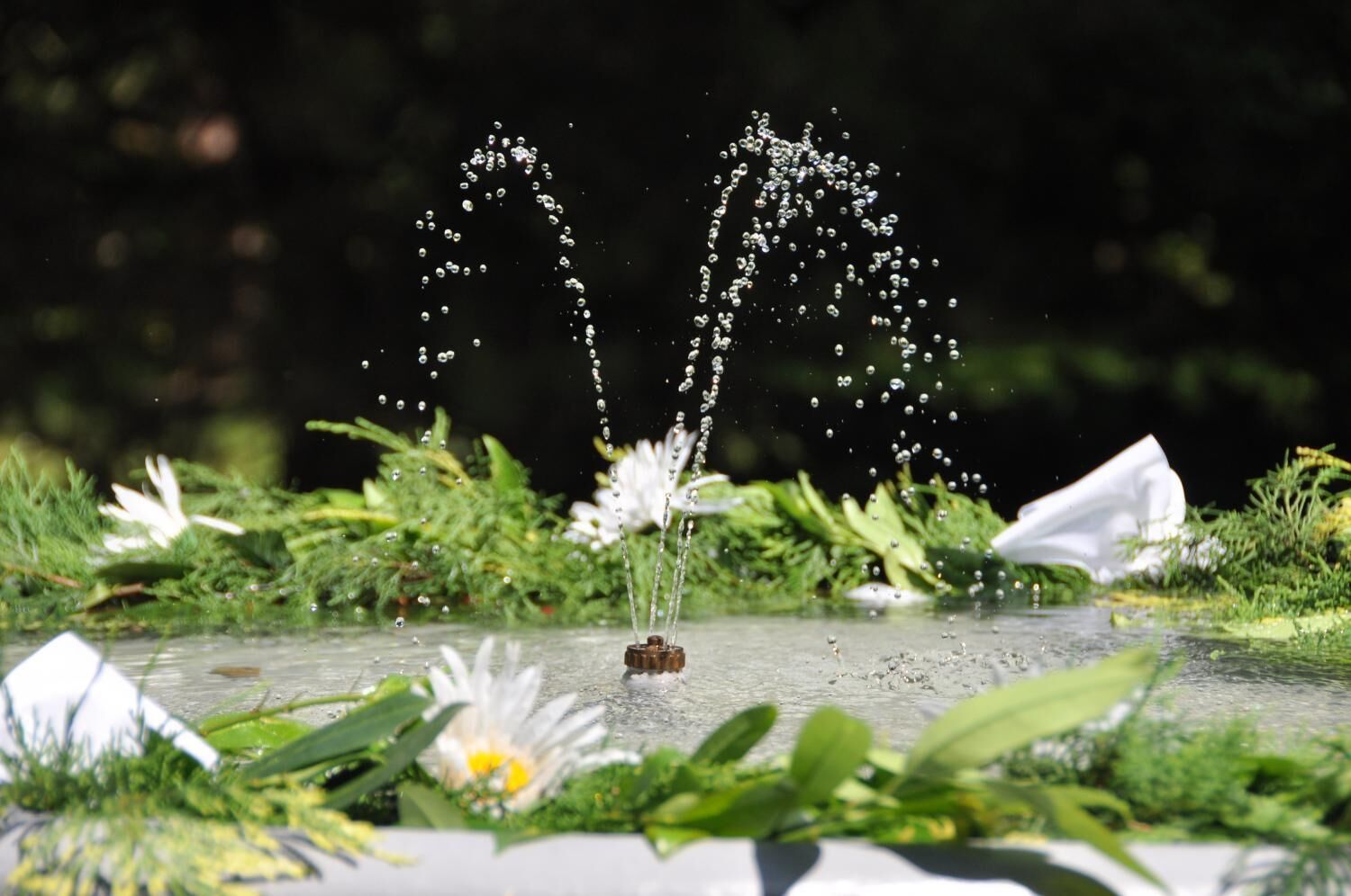 A fountain with water jets in a garden setting.