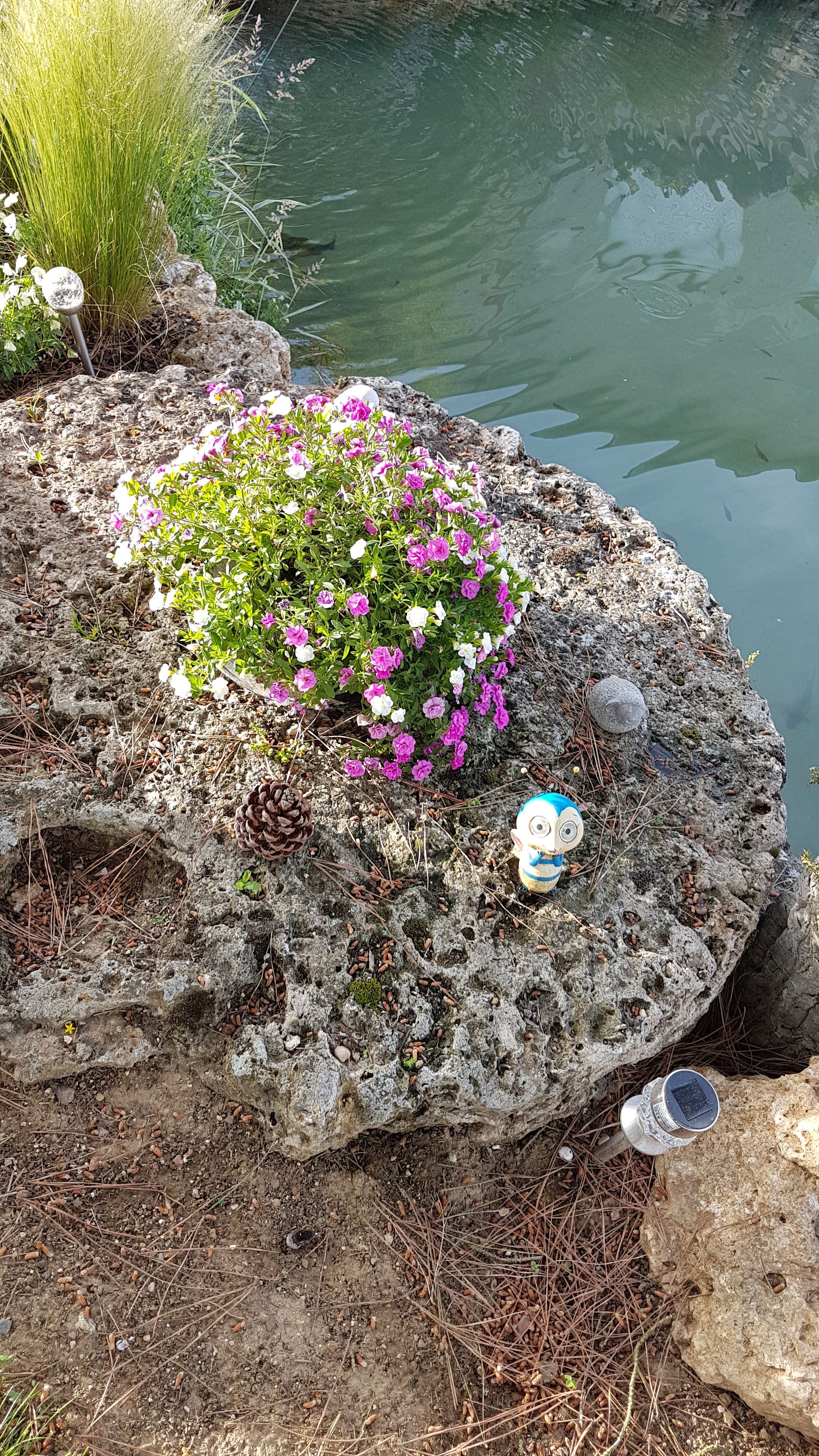 A rock garden with a variety of plants and flowers, including pink and white blooms, near a body of water.