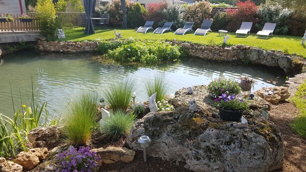 Un étang entouré de rochers et de plantes, une clôture en bois et, au fond, une rangée de chaises longues.