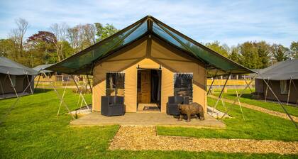 Bear Lodge - At Port Lympne Reserve