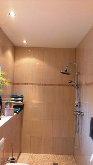Douche, séchoir à cheveux, serviettes fournies, savon